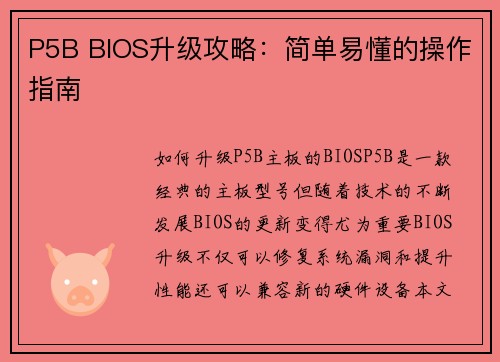 P5B BIOS升级攻略：简单易懂的操作指南